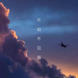 不如不见面