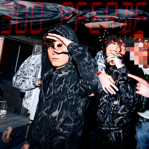 300 Pferde