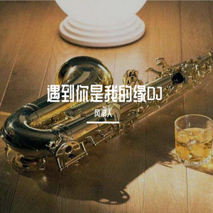 遇上你是我的缘DJ