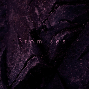 Promises (feat. Satin Jackets, Jadu Heart & SIAMES)