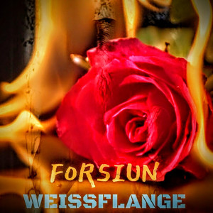 ForSiun