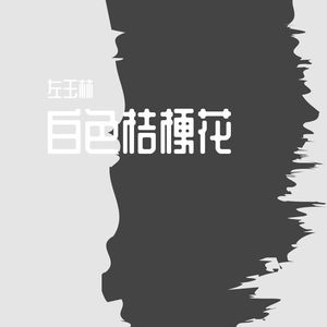 白色桔梗花