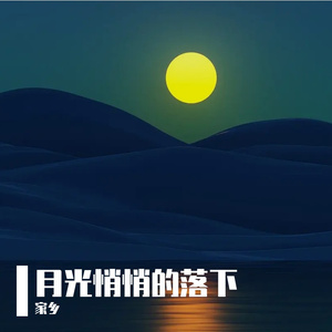 月光悄悄的落下