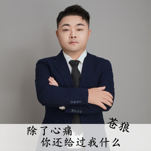 除了心痛你还给过我什么