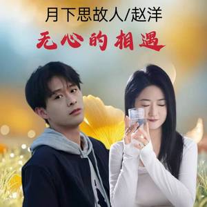 无心的相遇 (DJ默涵对唱版)