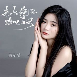 来世绝不踏凡间 (DJ何友版)