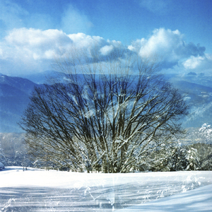 こきりこ節 (富山県民謡)