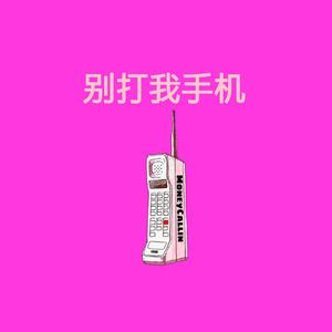 别打我手机demo