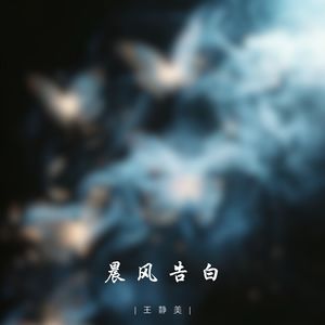 晨风告白