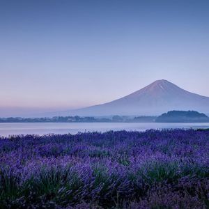 KURSINBE SEN- Musilimbek Jaylao