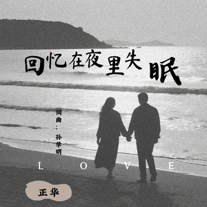 回忆在夜里失眠-成品