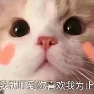 很需要