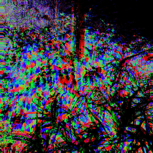 解药 (Prod. Homage)