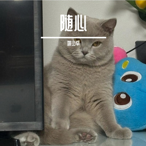 一颗狼星·精卫·-醉苍穹remix