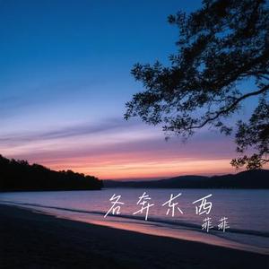 各奔东西 (Cover 赵乃吉)
