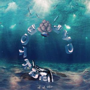 BOTTLE CAP (瓶盖）