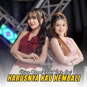 Harusnya Kau Kembali