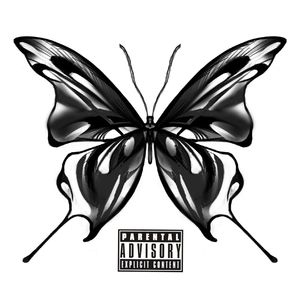 蝴蝶Butterfly(prod.by Morrow)