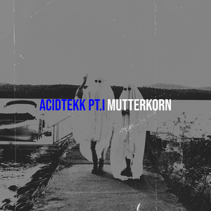 AcidTekk, Pt.I