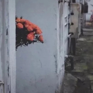 突然发生的爱情故事