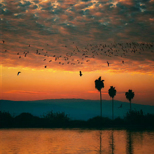 离我那么远干嘛 我只会搞笑 又不会搞你