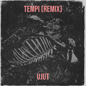 Tempi (Remix)