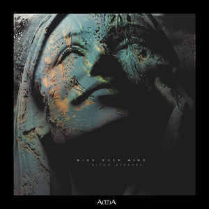 Surface (Diego Straube Remix)