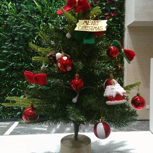 二十五日的钟声