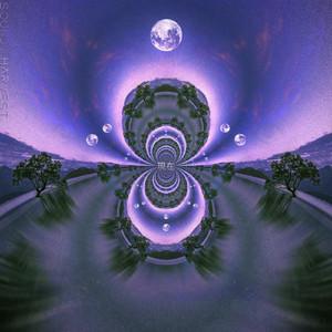 Oak Moon (Original Mix)