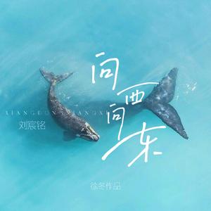 向西向东-徐冬作品
