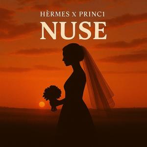 Nuse (feat. Princ1)