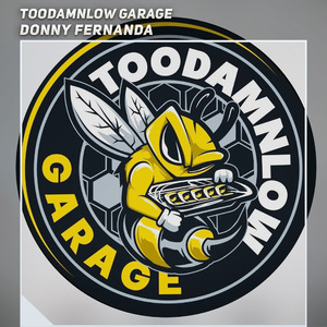 TooDamnLow Garage