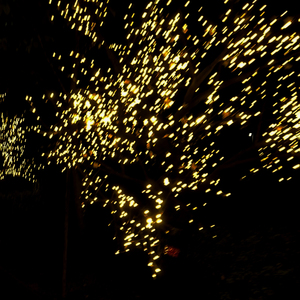 우리는 밤이 되면 빛난다 (We Shine at Night)