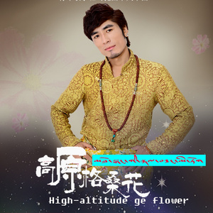 高原格桑花 (伴奏)