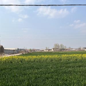 t_1480131590181_0346