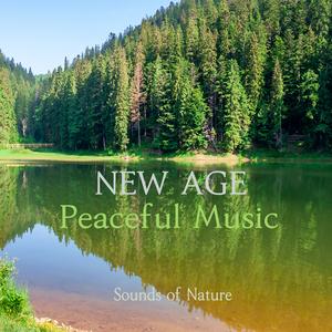 고요한 명상 (빗소리)