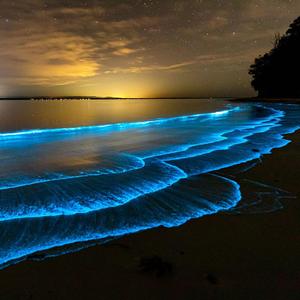 盛夏派对 "萤火海滩"