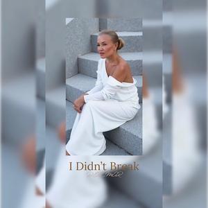 I Didn't Break