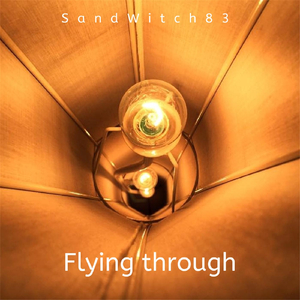 Flying Through