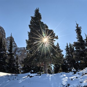 秋思（Күзгі сағыныш）