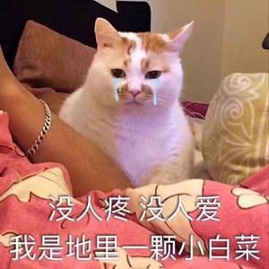 情窦初开(Prod by GOAT MUSIC)