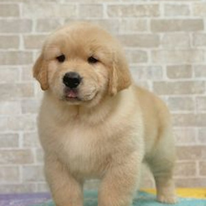 My Cigarette (slowed)