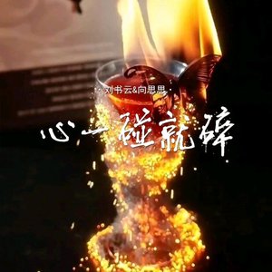 《心一碰就碎》（DJ越南鼓版）