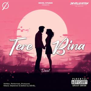 Tere Bina
