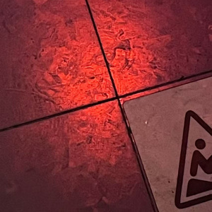 固执己见 Ft.逗逗龙ddl