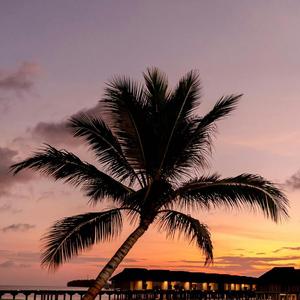 hey girl (are you ok?)