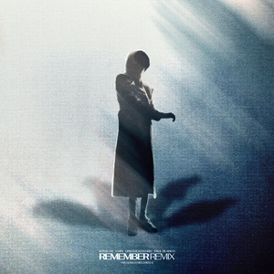 할 것 Remix (with Chin, Uneducated Kid, Paul Blanco)