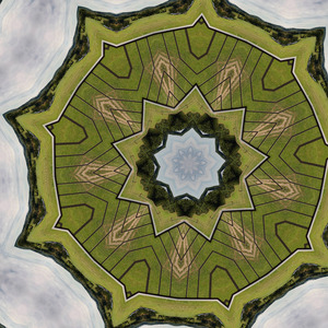 Binaural Active Reasoning