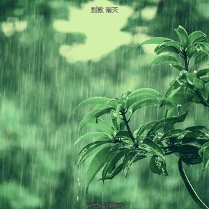 精彩住在里面环境