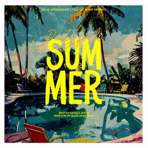 Party Fi Di Summer